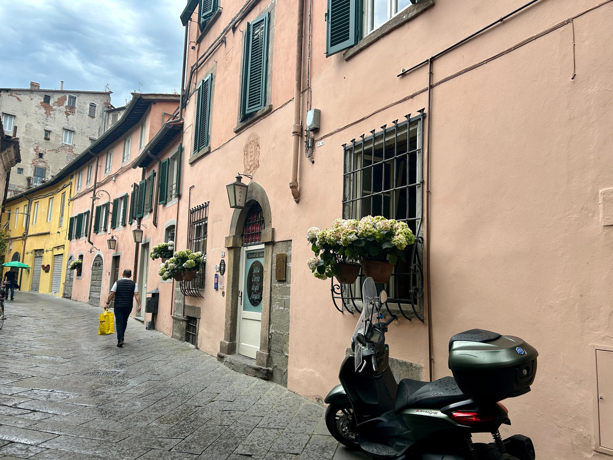 The Lucca Collection